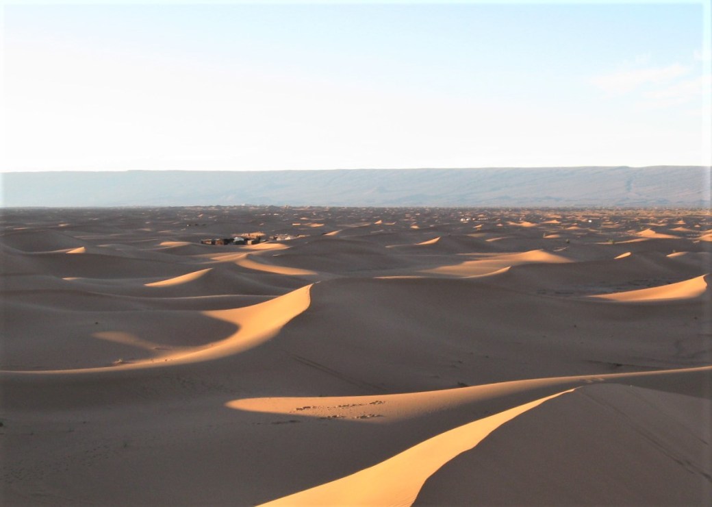 42 Desert Camp camp in background